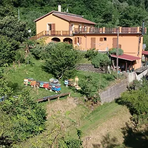 #bordigona Carrodano Inferiore
